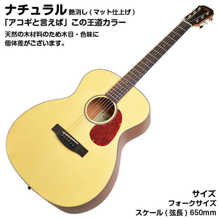 楽天市場】アコースティックギター 初心者セット アコギ 6点 アリア 