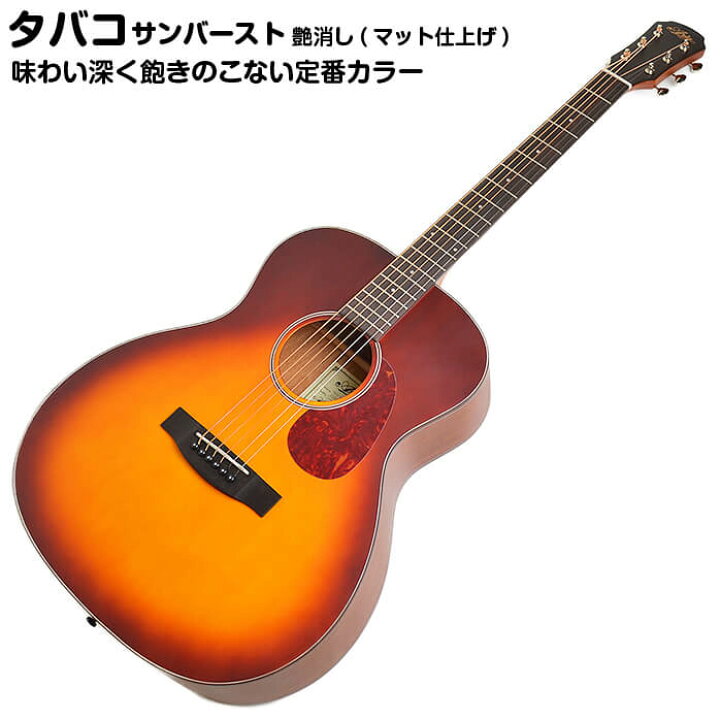 楽天市場】アコースティックギター 初心者セット アコギ 15点 アリア 