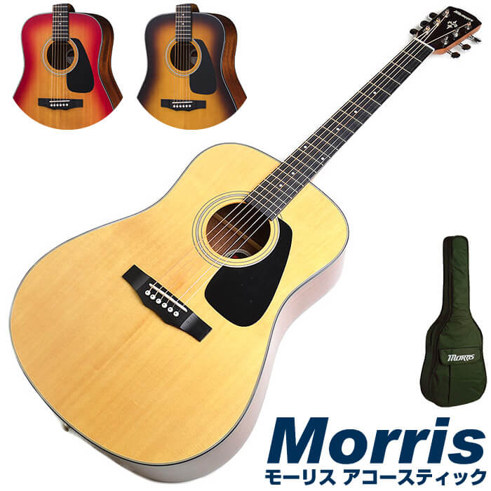 楽天市場】モーリス M-020 (Morris アコースティックギター 大きな 