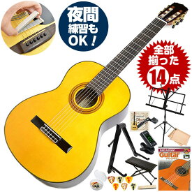 楽天市場 ギター ピック かわいいの通販