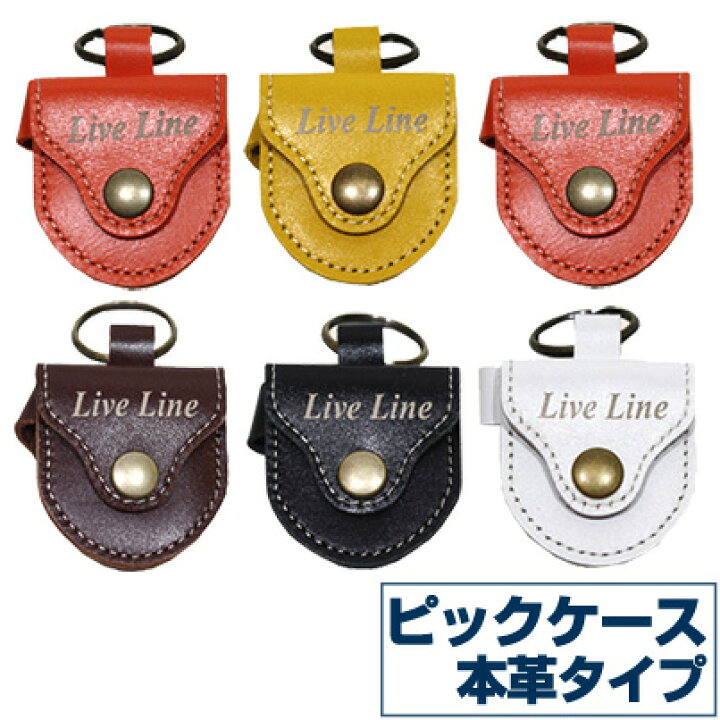 ピックケース KC PC200 PickCase