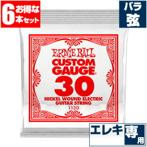 GLM^[  A[j[{[ 1130 Ernie Ball 030 Eh  o (6{̔)