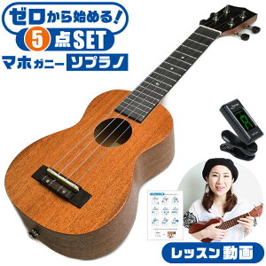 EN S҃Zbg S.C YU-S-03MTS }zKj[ P S.Yairi \vmTCY  Zbg