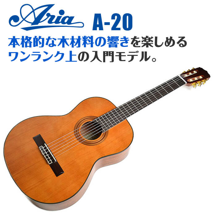 楽天市場】アリア クラシックギター ARIA A-20 (シダー材 単板 