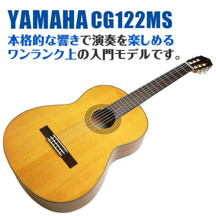 楽天市場】ヤマハ クラシックギター YAMAHA CG122MS スプルース材単板 