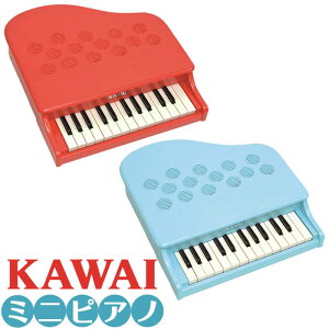 JC ~jsAm KAWAI P-25 (qp sAm ߋ )