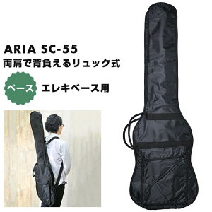 �x�[�X�P�[�X �G���L�x�[�X ARIA SC-55 �����b�N�^�C�v �\�t�g�P�[�X �A���A �x�[�X �P�[�X