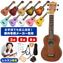 ウクレレ 初心者 セット 入門 2点～8点 SOPRANO 小さな ソプラノサイズ ウクレレ初心者セット