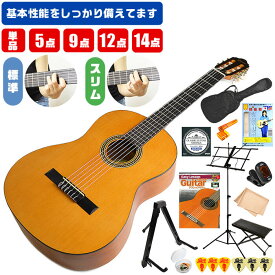 クラシックギター 初心者 セット Valencia (標準ネック VC204) (スリムネック VC204H) 入門 初心者セット 単品 5点～13点