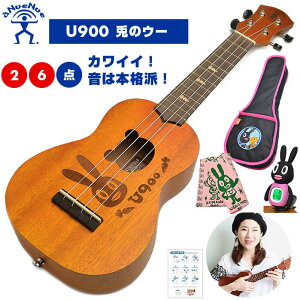ウクレレ 初心者 セット 入門 2点〜6点 aNueNue aNN-US マホガニー材 単板 U900 兎野 ウー 小さな ソプラノサイズ ウクレレ初心者セット
