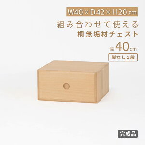 o `FXg xbh [ i i ˂ [`FXg  rO  ؐ  [ ˃`FXg [P[X gsv  40 cm N[[bg  ߑP[X I