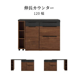 【15%OFFクーポン配布中!25日限定!!】 キッチンカウンター 120 伸長 間仕切り 幅 120 cm ゴミ箱 キッチン収納 カウンター下収納 レンジ台 北欧 収納棚 カウンター シェルフ コンパクト スライド カウンター リフォーム 新築 引