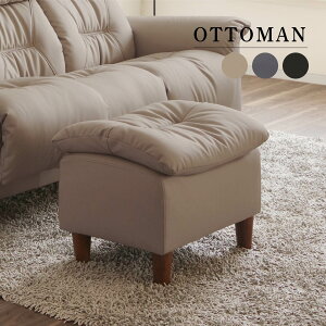 Ibg} ru Pi 56 s46 ʍ44cm tbgXg U[  Vv  rO   O[ x[W