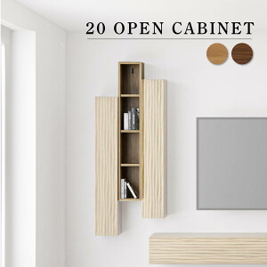 EFCN 20 CABI[v (OAK)