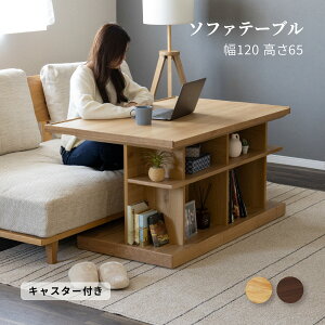 _CjOe[u  e[u \t@ e[u [ Z^[e[u 120cm EH[ibg ؐ rO [ \t@[ e[u \t@[ _CjO [ C rOe[u L