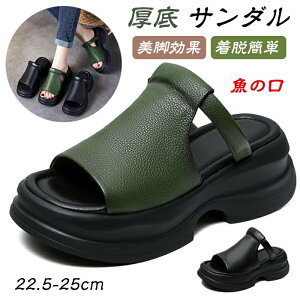 I[vgDEFbW\[T_ Xg[gT_ fB[X 6cm ̌ xNfUC 4E  [} r Ȃ ~ SVΉ r H e