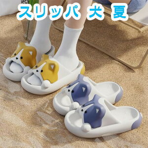 yyVX[p[SALE蔼zzXbp   T_  [V[Y fB[X Y z[Xbp 킢 oXXbp y É ~ ɂ ₷ EVAf 