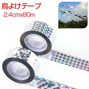 悯 悯  ΍ ObY he[v  LL ˃e[v 2Zbg 2.4cm*80m Q΍ JX΍ zOe[v x_ x_ | c ʎp  K[f O X