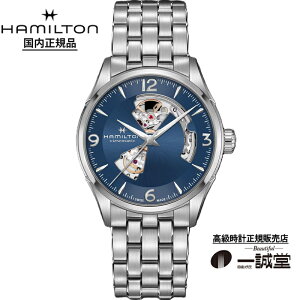 �y�������K�i�z�n�~���g�� �W���Y�}�X�^�[ �I�[�v���n�[�g H32705141 ��(�u���[)������ �����Y �r���v �������� 42mm �X�e�����X�u���X���b�g �X�C�X�� �T�t�@�C�A�K���X 5�C���h�� �@�B�� ���K