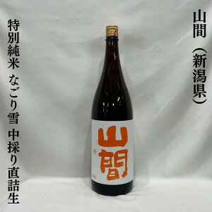 Rԁi܁j ʏ Ȃ ̂蒼l hߐ ViV𑢁jy720ml^1800mlzm{^RV̂|KcI^邿Ăgpn