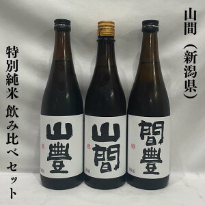 Rԁi܁jʏ ݔ׃ZbgiRLirj^Rԁij^ԖLiӂ߁jjViV𑢁jy720ml 3{zm{^̂镔ʈႢ^xݔׂ