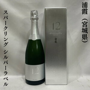 Y No.12 Xp[NO Vo[x {錧iЍYjy720mlzm{^ߍׂA^u₩Ȗ킢̃Xp[NO{Inpϔ