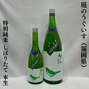 庭のうぐいす 特別純米 しぼりたて 本生 福岡県（山口酒造場）【720ml／1800ml】［日本酒／人気の新酒／フレッシュ＆ジューシー］