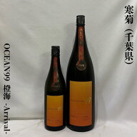 寒菊（かんきく）OCEAN99 橙海 -Arrival- 2026 無濾過一度火入原酒 千葉県（寒菊銘醸）【720ml／1800ml】
