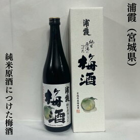 浦霞 純米原酒につけた梅酒 ギフト箱入り 宮城県（株式会社佐浦）【720ml】