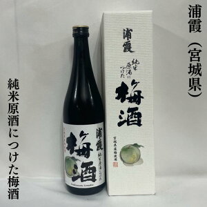 Y Čɂ~ Mtg {錧iЍYjy720mlz
