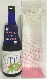 ブランデー入り梅酒 【TSUKASA ZUTTO】 720ml クリアケース入り 群馬県（美峰酒類）