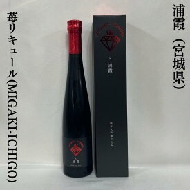 浦霞 苺リキュール（MIGAKI-ICHIGO × 浦霞 純米大吟醸仕込み） 化粧箱入り 【375ml】 宮城県（株式会社佐浦）※クール便対象商品※［苺リキュール／食べる宝石ミガキイチゴ利用／大切な方への贈り物に最適！］