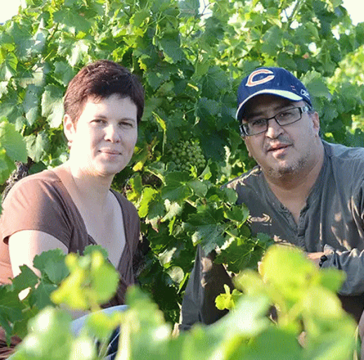 楽天市場】[2022] シャトーヌフ デュ パプ オムニア 750ml 赤 辛口