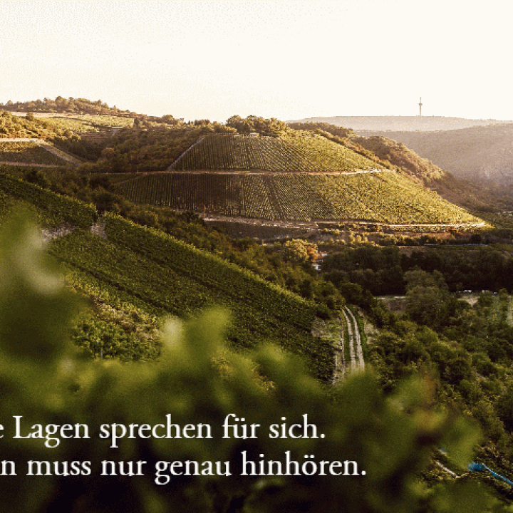 楽天市場】[2022] デンホーフ リースリング QbA 750ml 白 やや甘口