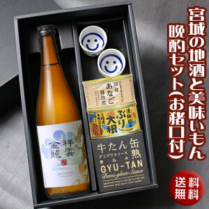 {̒nƔӎރZbg(t)[{錧]Mtg a c yY c yY