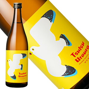 Y Č ccEE 720ml[{錧] Mtg Ε Ε ~Mtg yY yY p[eB[ NX}X