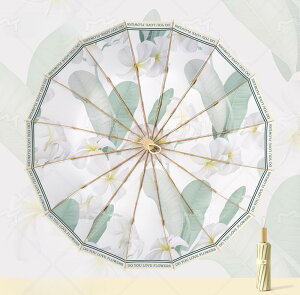P fB[X OJbg ܂肽 ԕ 傫 P v ܂Ȃ P P Jp Pp JP 16{ 50-55CM 蓮 y ɋ  ϕ h  v[g Mtg h