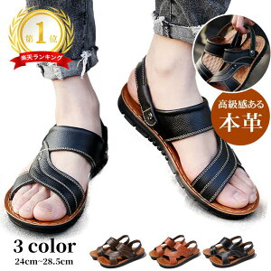 y[zT_ Y 傫TCY  L T_ Ȃ T_ uh j T_ Xbp v  Y T_ x_ T_ T_  U[ T