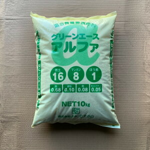 ʗvf엿@@O[G[XiAt@j@10kg