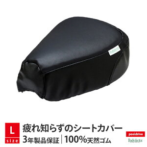 |WhC Dr.ybg /  LTCY NXJu CT125n^[Ju posidrive oCN c[O V[gJo[