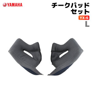 }n YX-6 `[NpbhZbg LTCY YAMAHA ZENITH oCN wbgpi