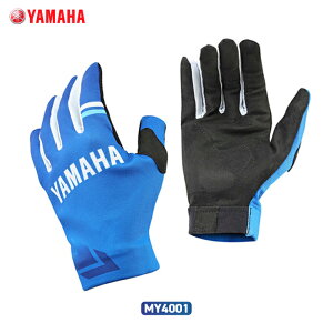 }n MY4001 It[hCfBOO[u YAMAHA It[h gNXO[u