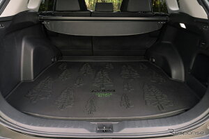 RAV4iPHVȊOjp g^uRAV4 WOODLAND EDITIONvS J[SCi[ 5RAV4i50nj