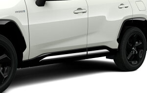 5ځi50nj RAV4p g^Vo[N[ TChV hA4Zbg