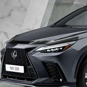 NXp LEXUS{lbgveN^[ 2NXiAZ20^j