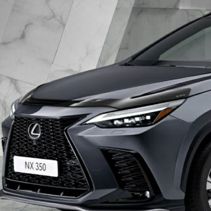 楽天市場】2代目（AZ20型） LEXUS NX用 レクサス純正「LEXUS」ロゴ入り  