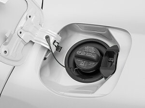 5ځiZVW60/MXWH60j vEXp g^p\L K\Lbv