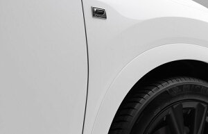 5��ځiALA10/ALH10�^�jRX�p LEXUS���� �G���u���� �T�C�h�uFSPORT�v ���E�Z�b�g