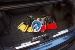 3ځi30njISK\fp LEXUS I[EGU[J[SGAgC uLEXUSvS