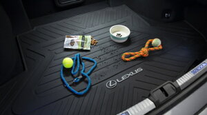 y10nLEXUS ESzuLEXUSvS I[EGU[J[SGAgC COdlANZT[